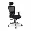 LND 068 H B Chair - Wood, Black