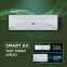 Carrier 19K XPERT LUMO GXI 1.5TON 5*INV Split Air Conditioner 5 Star Split AC